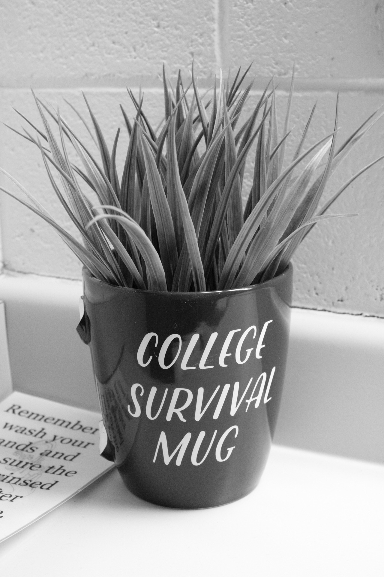 Picture 7: College survival mug